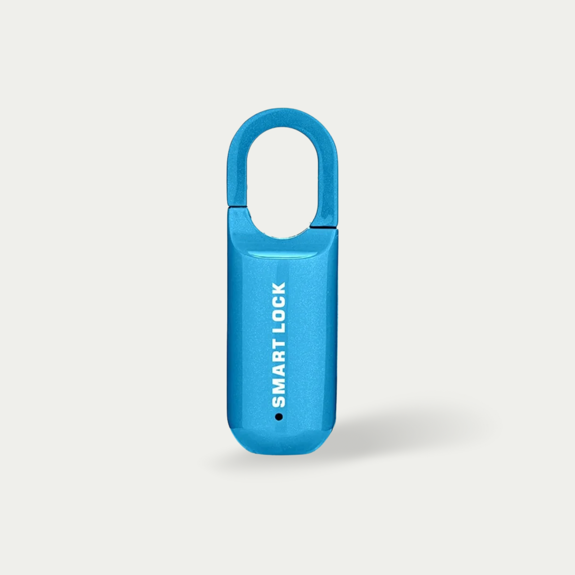 Smart Fingerprint Travel Lock